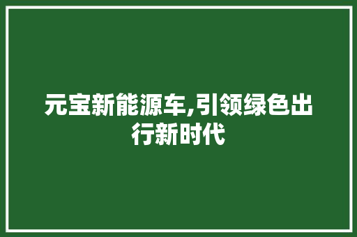 元宝新能源车,引领绿色出行新时代