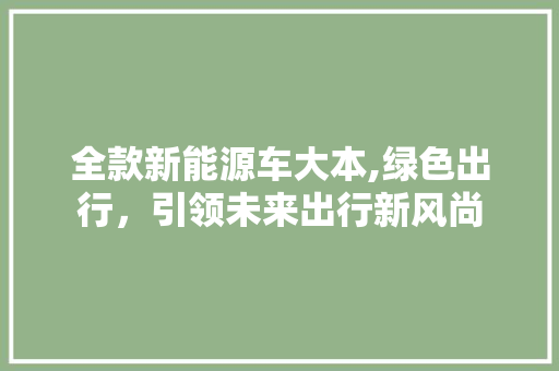全款新能源车大本,绿色出行，引领未来出行新风尚