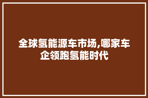 全球氢能源车市场,哪家车企领跑氢能时代 智能驾驶