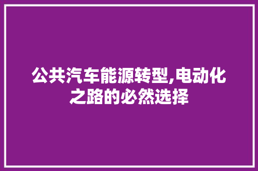 公共汽车能源转型,电动化之路的必然选择