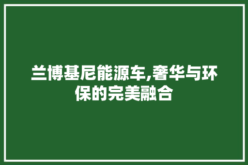 兰博基尼能源车,奢华与环保的完美融合