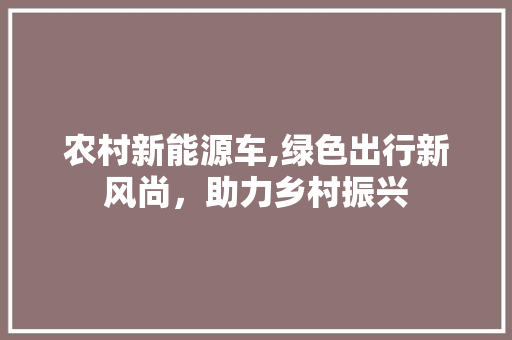 农村新能源车,绿色出行新风尚，助力乡村振兴 智能驾驶