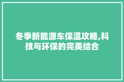 冬季新能源车保温攻略,科技与环保的完美结合