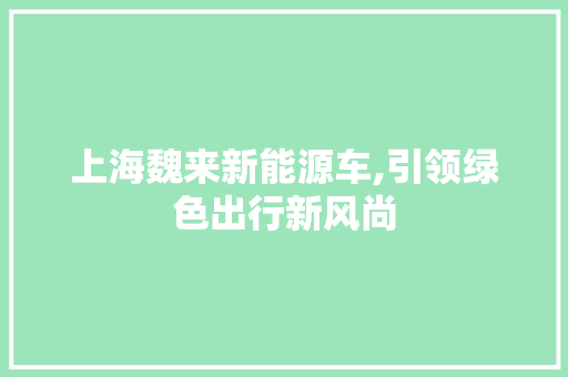 上海魏来新能源车,引领绿色出行新风尚