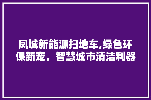 凤城新能源扫地车,绿色环保新宠，智慧城市清洁利器
