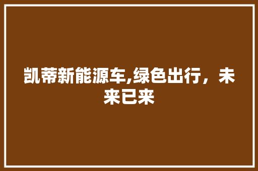 凯蒂新能源车,绿色出行，未来已来