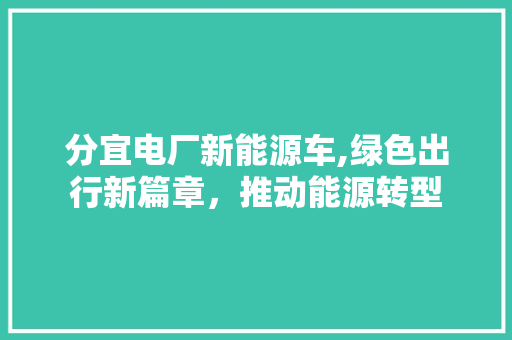 分宜电厂新能源车,绿色出行新篇章，推动能源转型