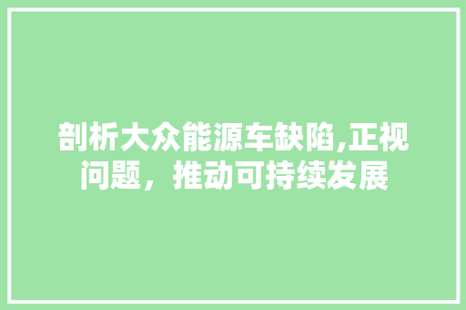 剖析大众能源车缺陷,正视问题，推动可持续发展