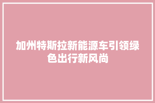 加州特斯拉新能源车引领绿色出行新风尚