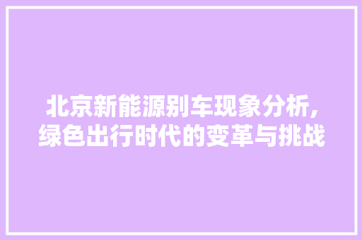 北京新能源别车现象分析,绿色出行时代的变革与挑战