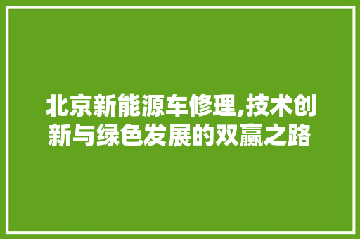 北京新能源车修理,技术创新与绿色发展的双赢之路