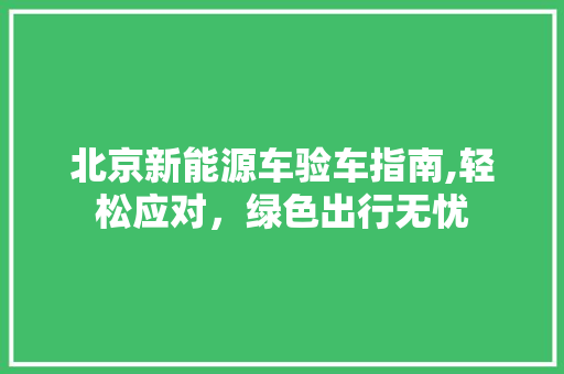 北京新能源车验车指南,轻松应对，绿色出行无忧