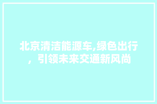 北京清洁能源车,绿色出行，引领未来交通新风尚