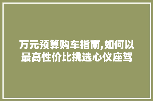 万元预算购车指南,如何以最高性价比挑选心仪座驾