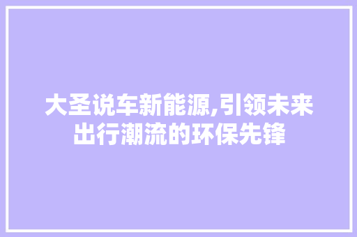 大圣说车新能源,引领未来出行潮流的环保先锋