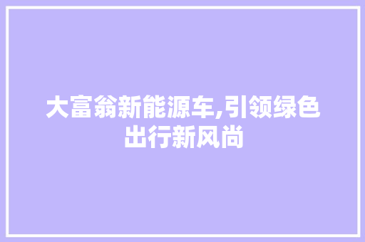 大富翁新能源车,引领绿色出行新风尚