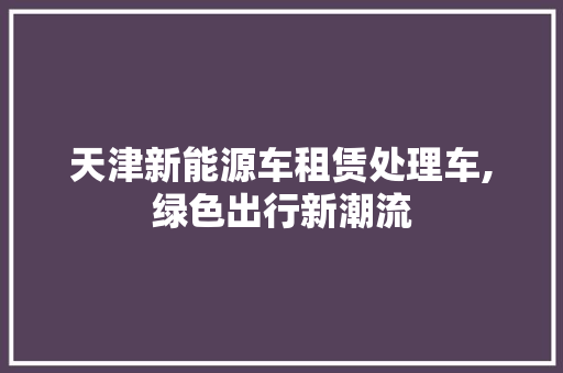 天津新能源车租赁处理车,绿色出行新潮流 汽车轮胎