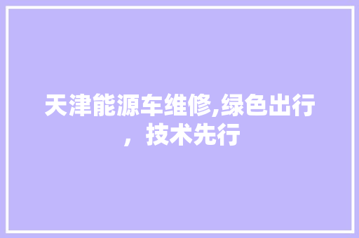 天津能源车维修,绿色出行，技术先行