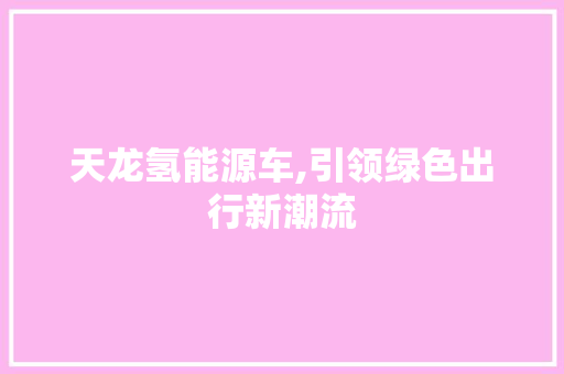 天龙氢能源车,引领绿色出行新潮流