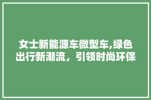 女士新能源车微型车,绿色出行新潮流，引领时尚环保生活