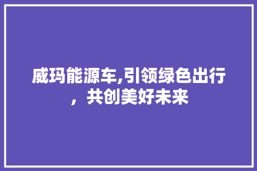 威玛能源车,引领绿色出行，共创美好未来