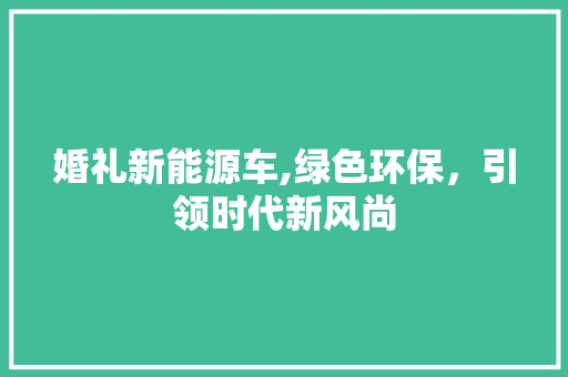 婚礼新能源车,绿色环保，引领时代新风尚 汽车展览