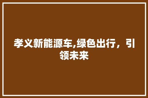 孝义新能源车,绿色出行，引领未来