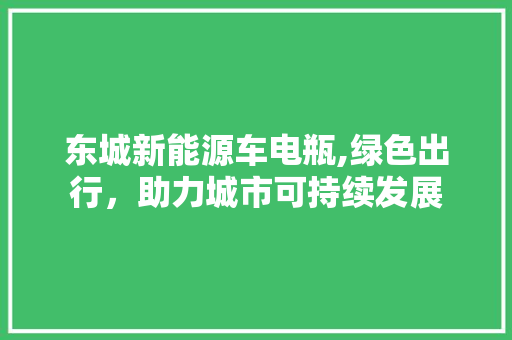 东城新能源车电瓶,绿色出行，助力城市可持续发展