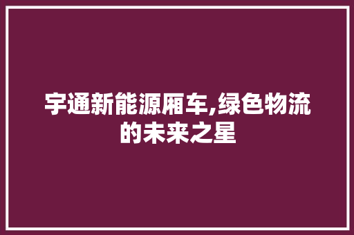 宇通新能源厢车,绿色物流的未来之星