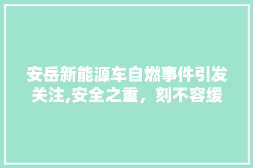 安岳新能源车自燃事件引发关注,安全之重，刻不容缓