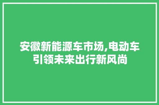 安徽新能源车市场,电动车引领未来出行新风尚