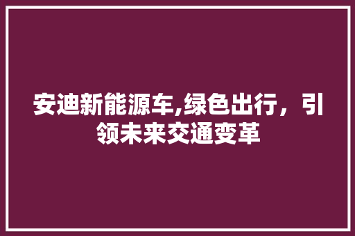 安迪新能源车,绿色出行，引领未来交通变革 汽车保养