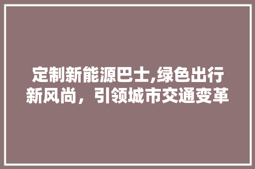 定制新能源巴士,绿色出行新风尚，引领城市交通变革 车载导航