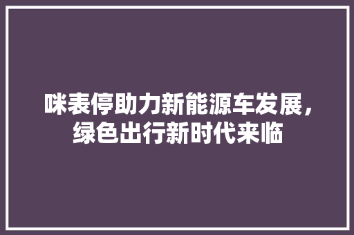 咪表停助力新能源车发展，绿色出行新时代来临