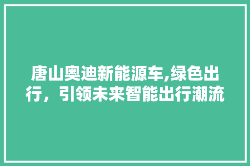 唐山奥迪新能源车,绿色出行，引领未来智能出行潮流