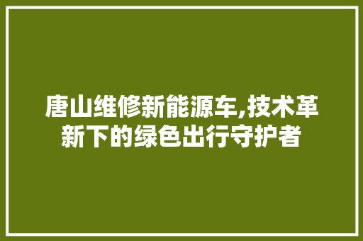 唐山维修新能源车,技术革新下的绿色出行守护者