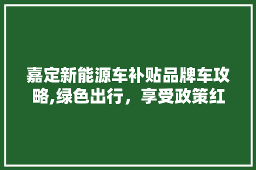 嘉定新能源车补贴品牌车攻略,绿色出行，享受政策红利 汽车配件