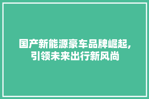 国产新能源豪车品牌崛起,引领未来出行新风尚 混合动力车