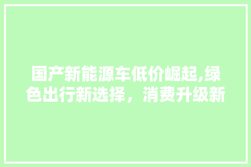 国产新能源车低价崛起,绿色出行新选择，消费升级新动力