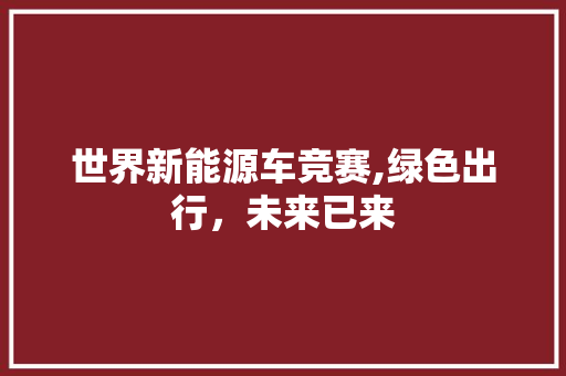 世界新能源车竞赛,绿色出行，未来已来