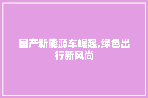 国产新能源车崛起,绿色出行新风尚