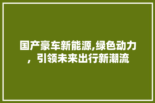 国产豪车新能源,绿色动力，引领未来出行新潮流
