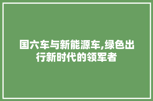 国六车与新能源车,绿色出行新时代的领军者