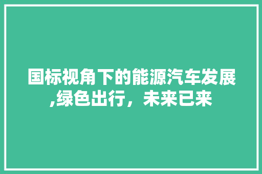 国标视角下的能源汽车发展,绿色出行，未来已来