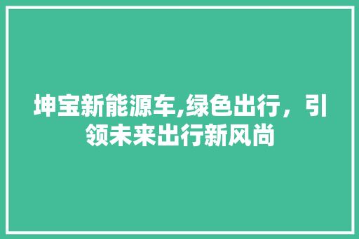 坤宝新能源车,绿色出行，引领未来出行新风尚
