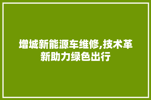 增城新能源车维修,技术革新助力绿色出行