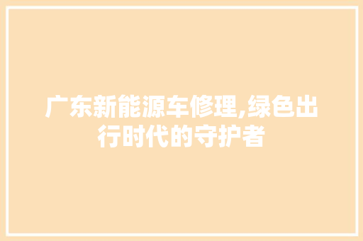 广东新能源车修理,绿色出行时代的守护者