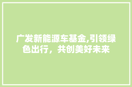 广发新能源车基金,引领绿色出行，共创美好未来 车型评测