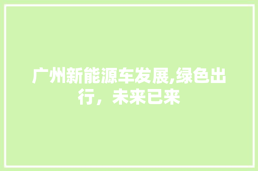 广州新能源车发展,绿色出行，未来已来