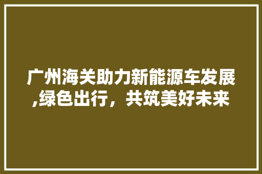 广州海关助力新能源车发展,绿色出行，共筑美好未来 汽车配件
